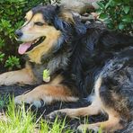 Profile Picture of Lucy Roderick (@lucy.roderick.9) on Facebook