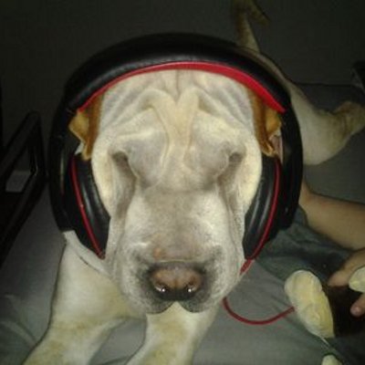 Profile Picture of Hazel Walters (@adriannahbtr201) on Twitter