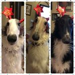 Profile Picture of Kim Allain (@allainkim) on Instagram