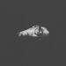 Profile Picture of ChienHong Chen (@chenchienhong) on Pinterest