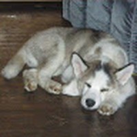 Profile Picture of Jared Abarca (@jared-abarca-3) on Quora