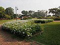 Profile Picture of Joseph Baptista Gardenson Wikipedia