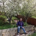 Profile Picture of Mark Ibsen (@ibbydude) on Instagram