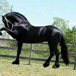 Profile Picture of antonio capetillo (@antiniocapetillo) on Instagram