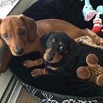 Profile Picture of Rene Cunningham (@renc9898) on Instagram