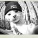 Profile Picture of Darren Singleton (@darrensingleton15) on Pinterest