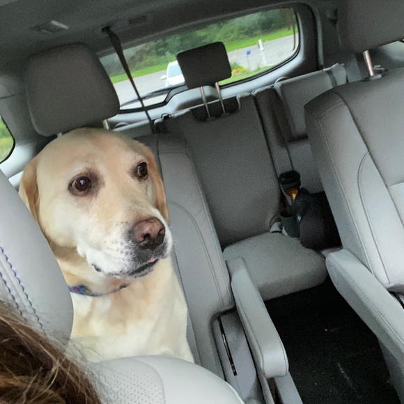 Profile Picture of Caitlyn Griesinger (@caitlyn17146) on Poshmark