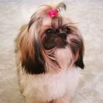 Profile Picture of Ing Marilyn Reyes (@ing.marilynreyes) on Instagram