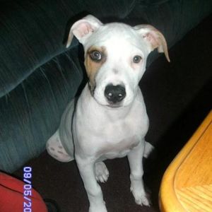 Profile Picture of Fred Conway (@spidamann2007) on Myspace