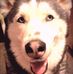 Profile Picture of Michael Flood (@michael.flood.739) on Facebook