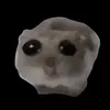 Profile Picture of gauss main 🥸 (@gauss.main) on Tiktok