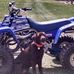Profile Picture of Dozer An Buddy Dill (@Dozer-An-Buddy-Dill) on Facebook
