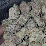 Profile Picture of Flavour Chaser Kent (@flavourchaserkent) on Instagram