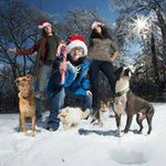 Profile Picture of Scott Perham (@scottperham) on Instagram