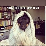 Profile Picture of Julio Jones (@juliojonessampson) on Instagram