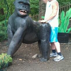 Profile Picture of Matthew Sheerin (@abcdefghijklmat) on Twitter