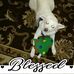Profile Picture of Gary Keeter (@gary.keeter.7) on Facebook