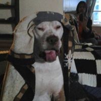 Profile Picture of Ray Booth (@ray-booth-1) on Quora
