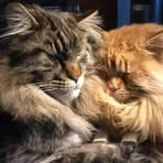 Profile Picture of K Michael Herander (@km.herander) on Facebook