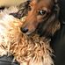 Profile Picture of Michael Rosenblum (@michael.rosenblum.5249) on Facebook