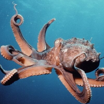 Profile Picture of Matthew Blodgett (@mmblodgett) on Twitter