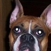 Profile Picture of Patrick Hutchens (@patrick.hutchens.77) on Facebook