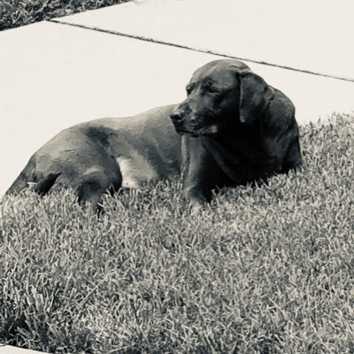 Profile Picture of Joseph Birdsong (@josephbirdsong2) on Twitter