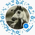 Profile Picture of SLynn Weiser (@slynnweiser) on Instagram