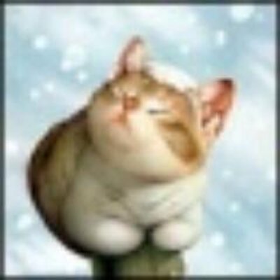 Profile Picture of Randy Cummings (@disuczo92) on Twitter