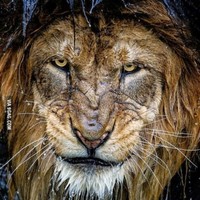 Profile Picture of Michael Marki (@michael-marki-1) on Quora