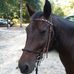 Profile Picture of Karen Groff (@karen.groff.14) on Facebook