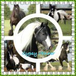 Profile Picture of Tori Barr (@prettyvanners123) on Instagram