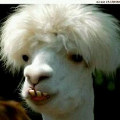 Profile Picture of Gilow (@GTgilow) on Twitter