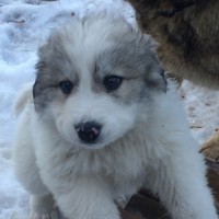 Profile Picture of Alexa Harmon (@alexa-harmon-8) on Quora