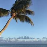 Profile Picture of Michael (@michael.frankenstein) on Instagram
