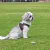 Profile Picture of Debbie Fulcher (@@debbiefulcher1) on Tiktok