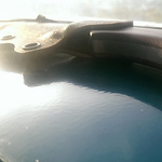 Profile Picture of Bogdan Paun (@Inviktus Kydex Sheaths) on Flickr