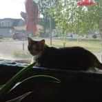 Profile Picture of Mary Eckert (@mary.eckert.2025) on Facebook