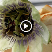 Profile Picture of Eric NICOLAI (@ericnicolai5292) on Youtube