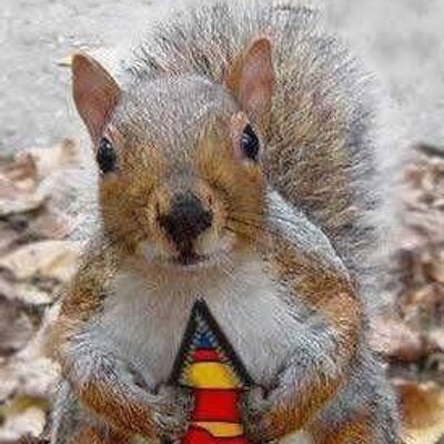 Profile Picture of Brian Klick (@BrianKlick) on Twitter