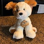 Profile Picture of Rolandhoward23@gmail.com (@rolandhoward23gmail.com38) on Instagram