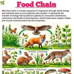 Profile Picture of Derian Keter (@Derian-Keter) on Facebook