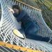 Profile Picture of Jesse Huhn (@huhnjess) on Pinterest