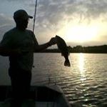 Profile Picture of Steven Turner (@stevendturner) on Pinterest
