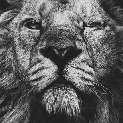 Profile Picture of Michael Peppel (@PeppTalker) on Twitter