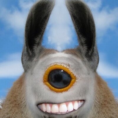 Profile Picture of Logan Wolfe (@loganwolfe2003) on Twitter