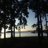 Profile Picture of Justin Guy (@@justin_guy1) on Tiktok