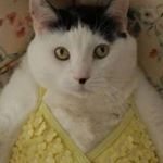 Profile Picture of James Busby (@jamieten24) on Instagram