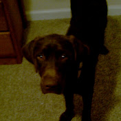 Profile Picture of Isaiah Franklin (@isaiahfranklin8201) on Youtube