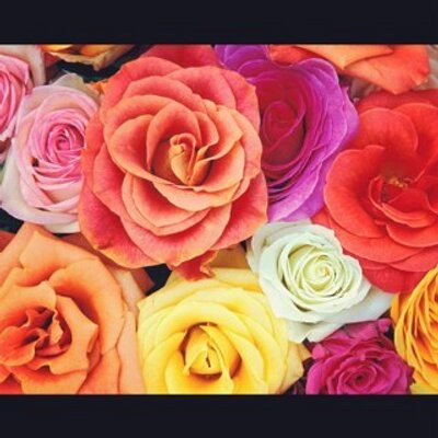 Profile Picture of Jessica Wilkins (@Jekawilkins) on Twitter